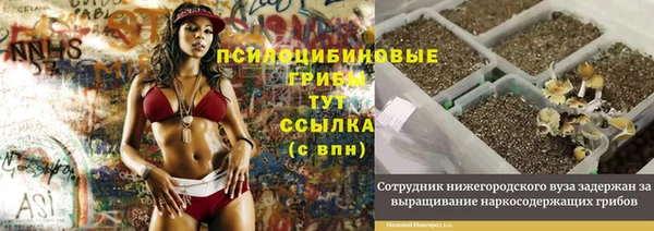 не бодяженный Протвино