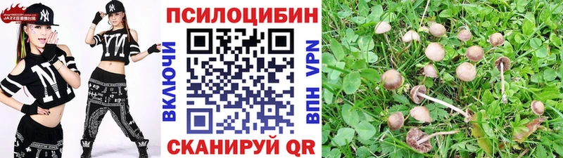 Псилоцибиновые грибы ЛСД Сретенск