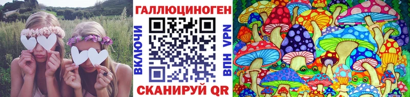 kraken как зайти  цена наркотик  Сретенск  площадка какой сайт  Галлюциногенные грибы GOLDEN TEACHER 